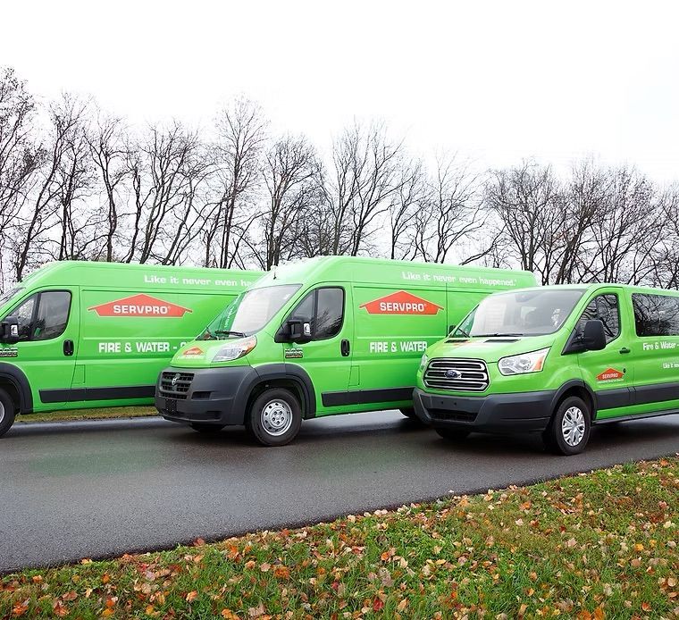 servpro services