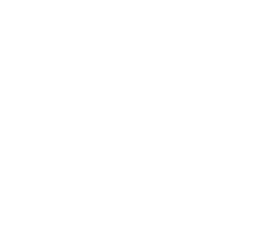 sunnyvale village logo