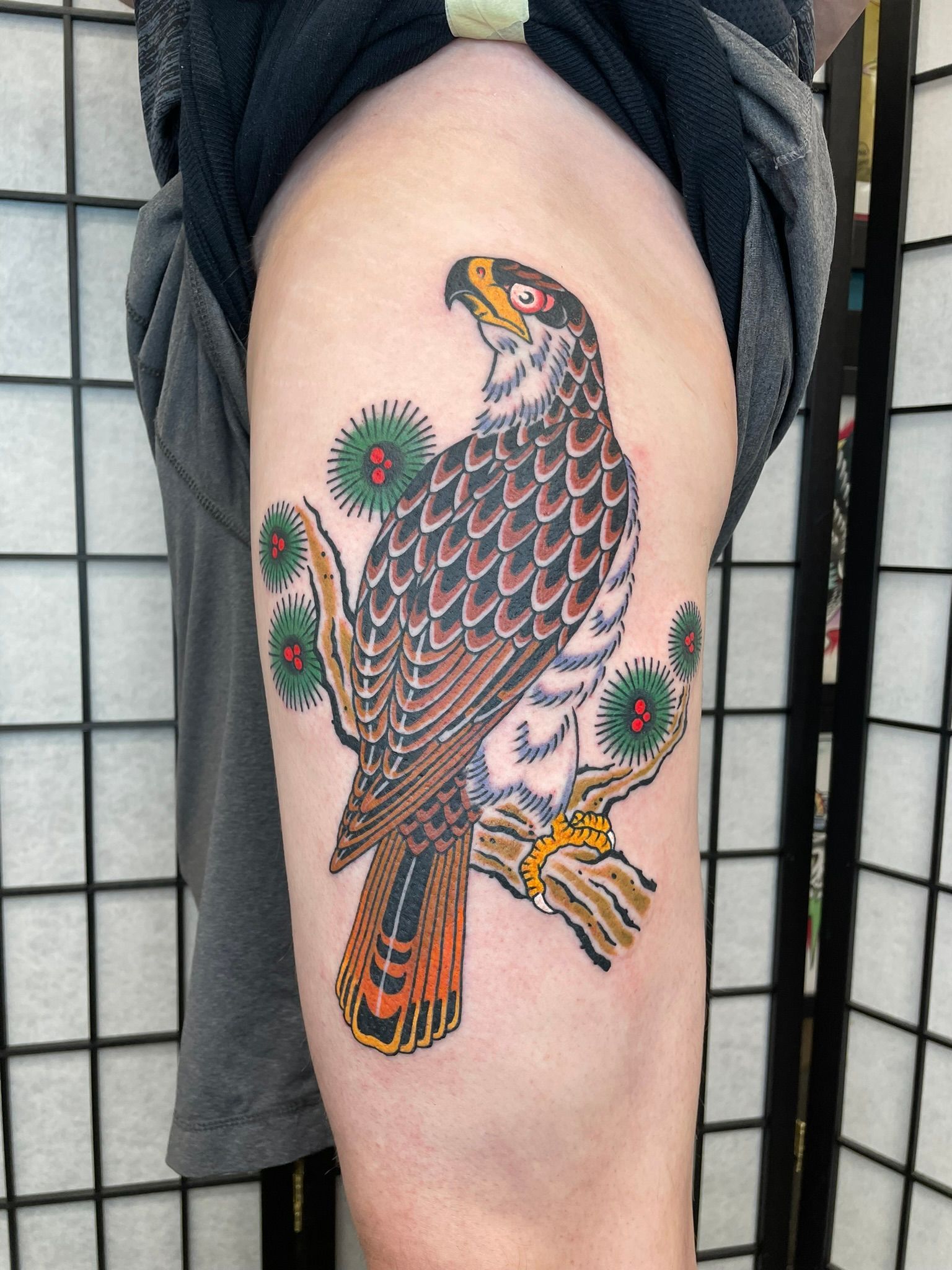 Colorful hawk tattoo on a leg, with brown patterned feathers and green-red floral accents against a grid background