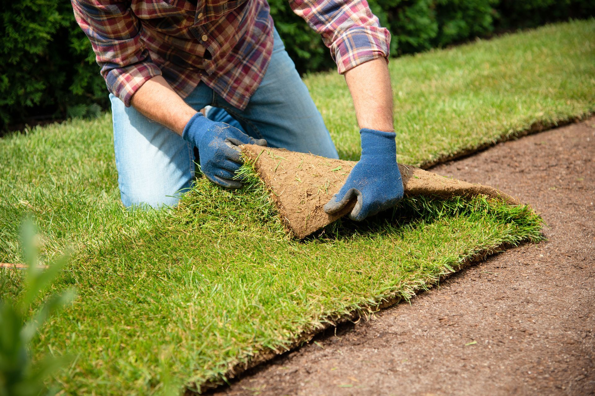 Sod and Turf Harrisburg PA
