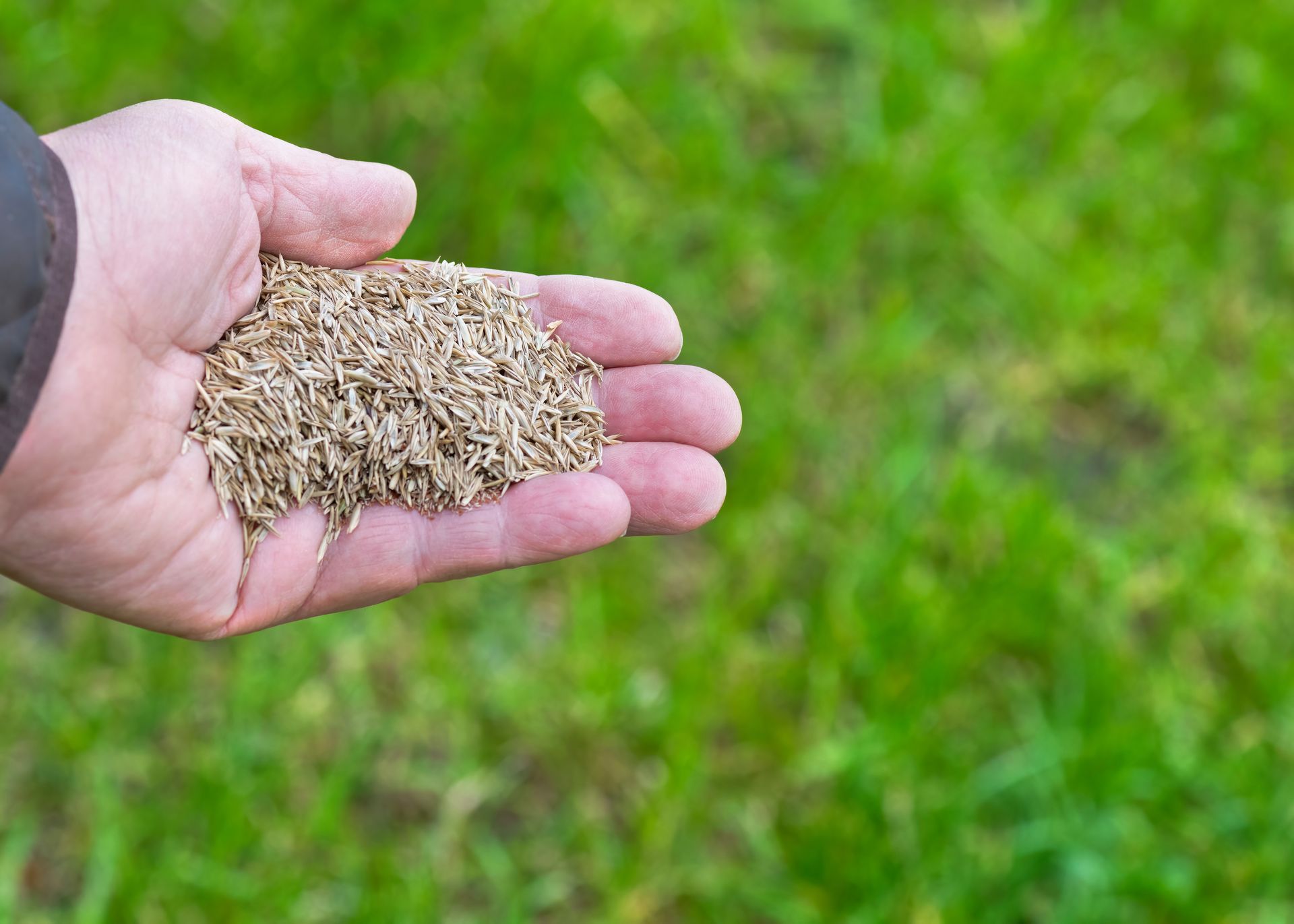 Harrisburg Lawn Care