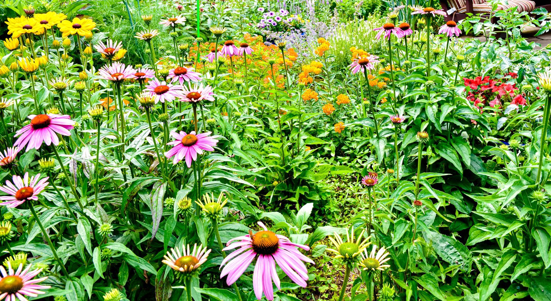 Landscaping Harrisburg PA