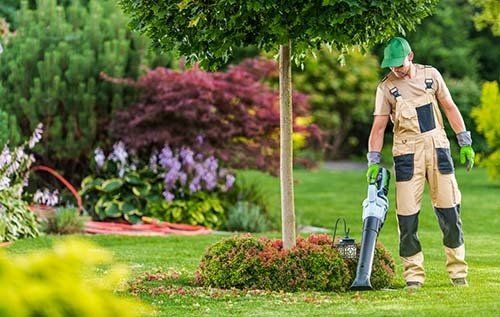 lawn care harrisburg pa
