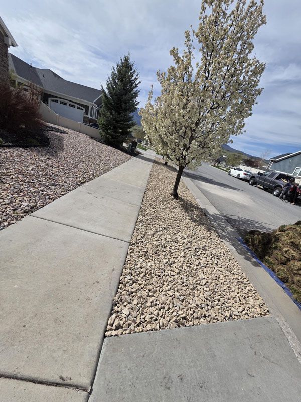 Residential sidewalk beside a gravel-lined tree strip on a sloped suburban street under a blue sky