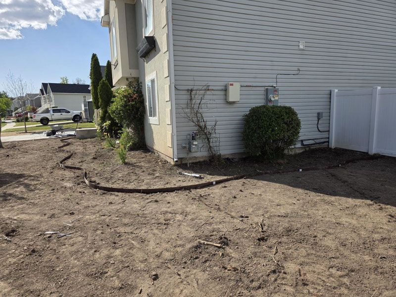 Side yard with bare dirt, white house siding, shrubs, and a fence on a sunny day