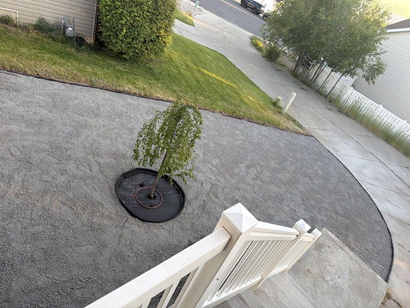 Driveway and front yard with a small tree in a black planter and white fence gate in the foreground.