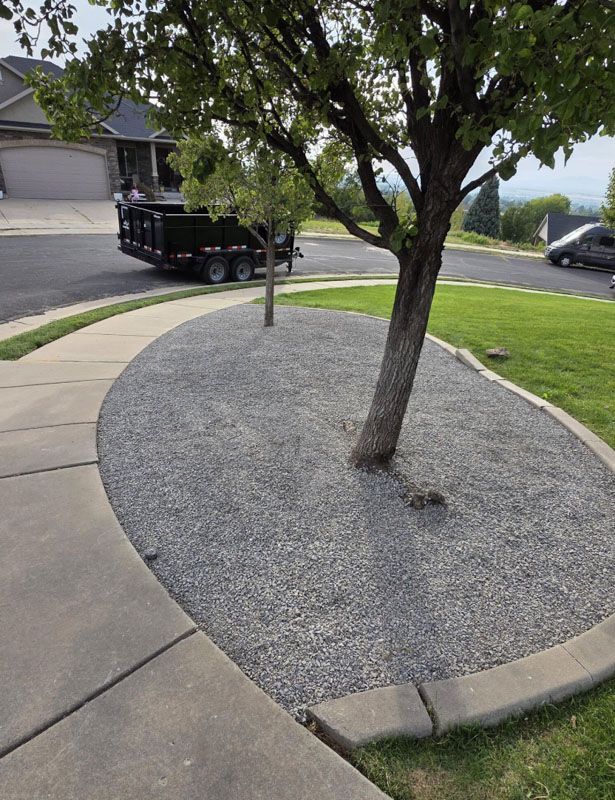 Front yard tree in a gravel bed beside a sidewalk and driveway, with a house and parked truck nearby