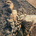 Gravel driveway and stone edging beside a landscaped yard with trees and a house in the background