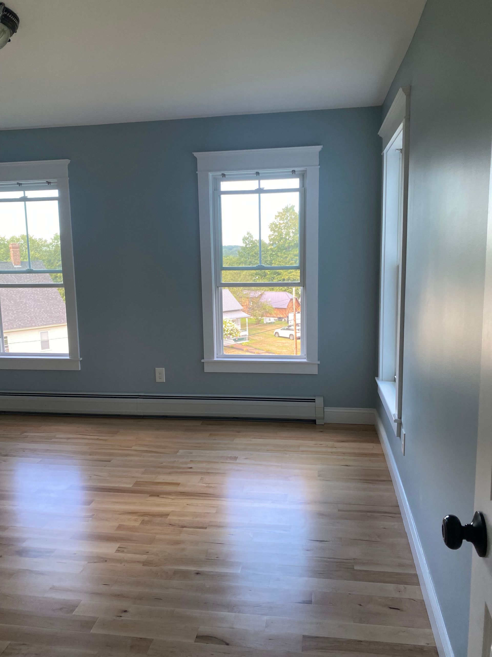 Empty room with blue-gray walls, hardwood floor, and two windows letting in daylight.