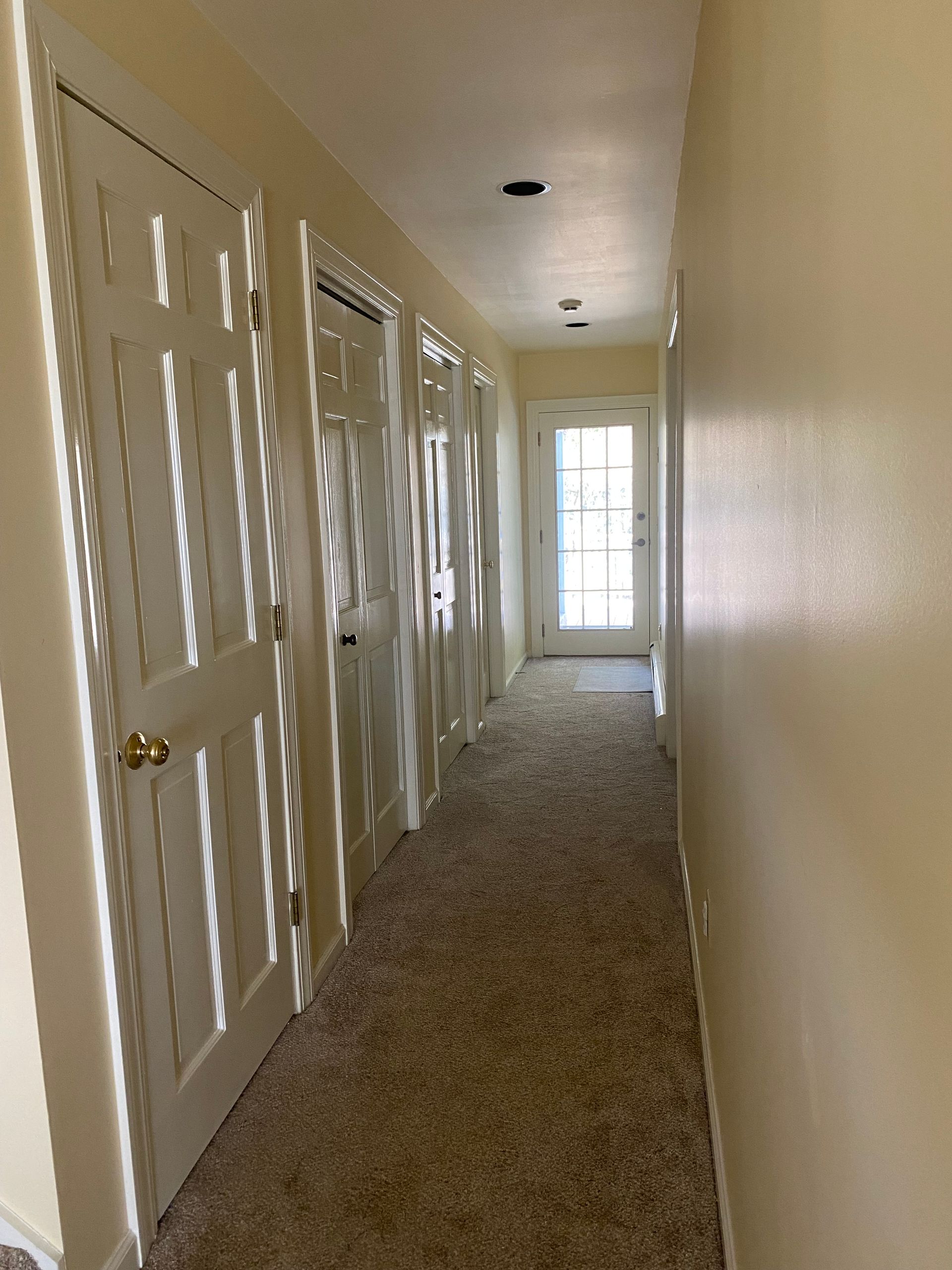 A long hallway with white doors and brown carpet