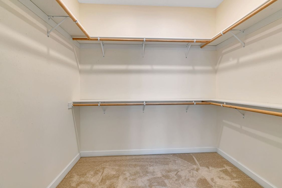 An empty walk in closet with a carpeted floor and shelves.