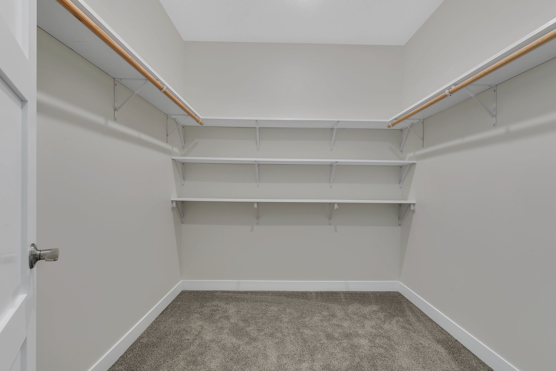 An empty walk in closet with shelves and a carpeted floor.