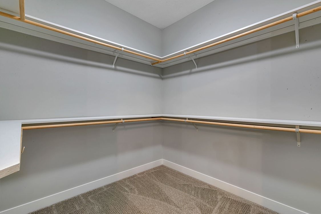 An empty walk in closet with a carpeted floor and shelves.