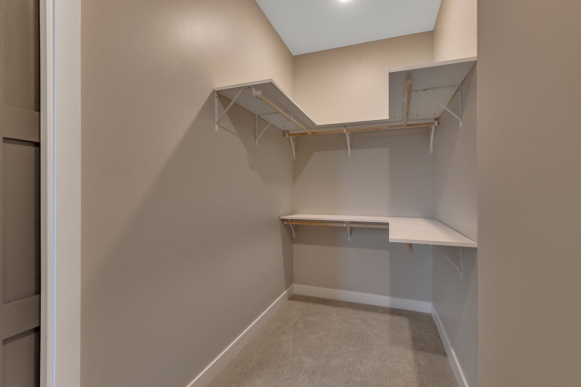 A walk in closet with shelves and a carpeted floor in a house.