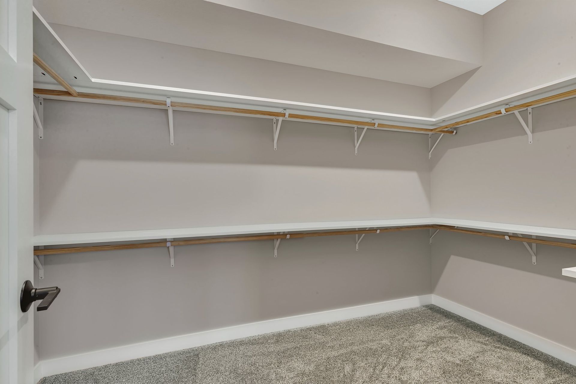 An empty walk in closet with shelves and a carpeted floor.