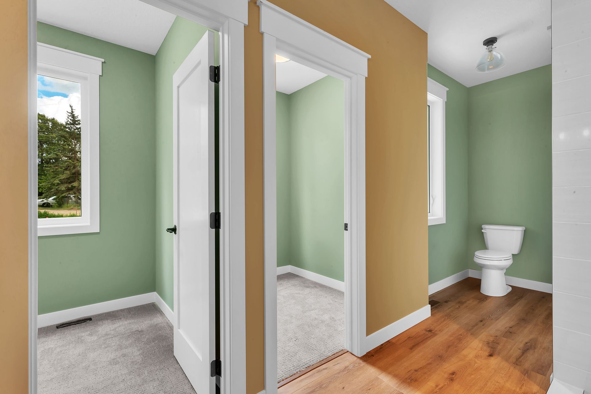 A bathroom with green walls and a toilet in it.