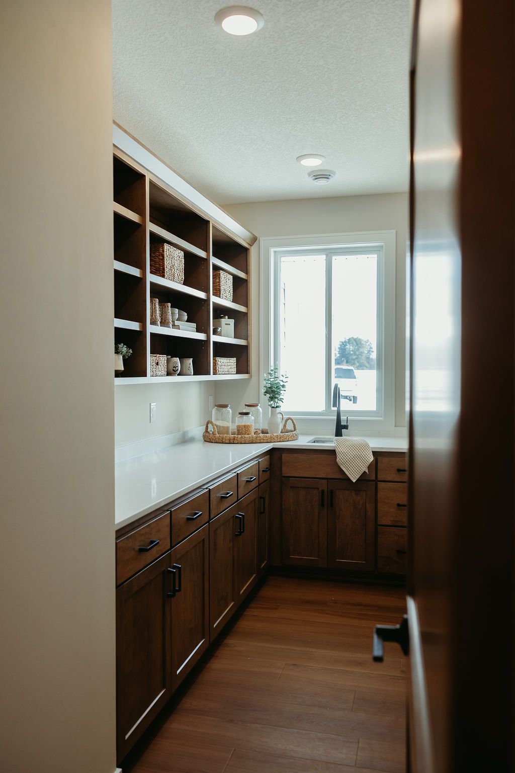 Pantry with wooden cabinets and shelves, white countertop, and window.