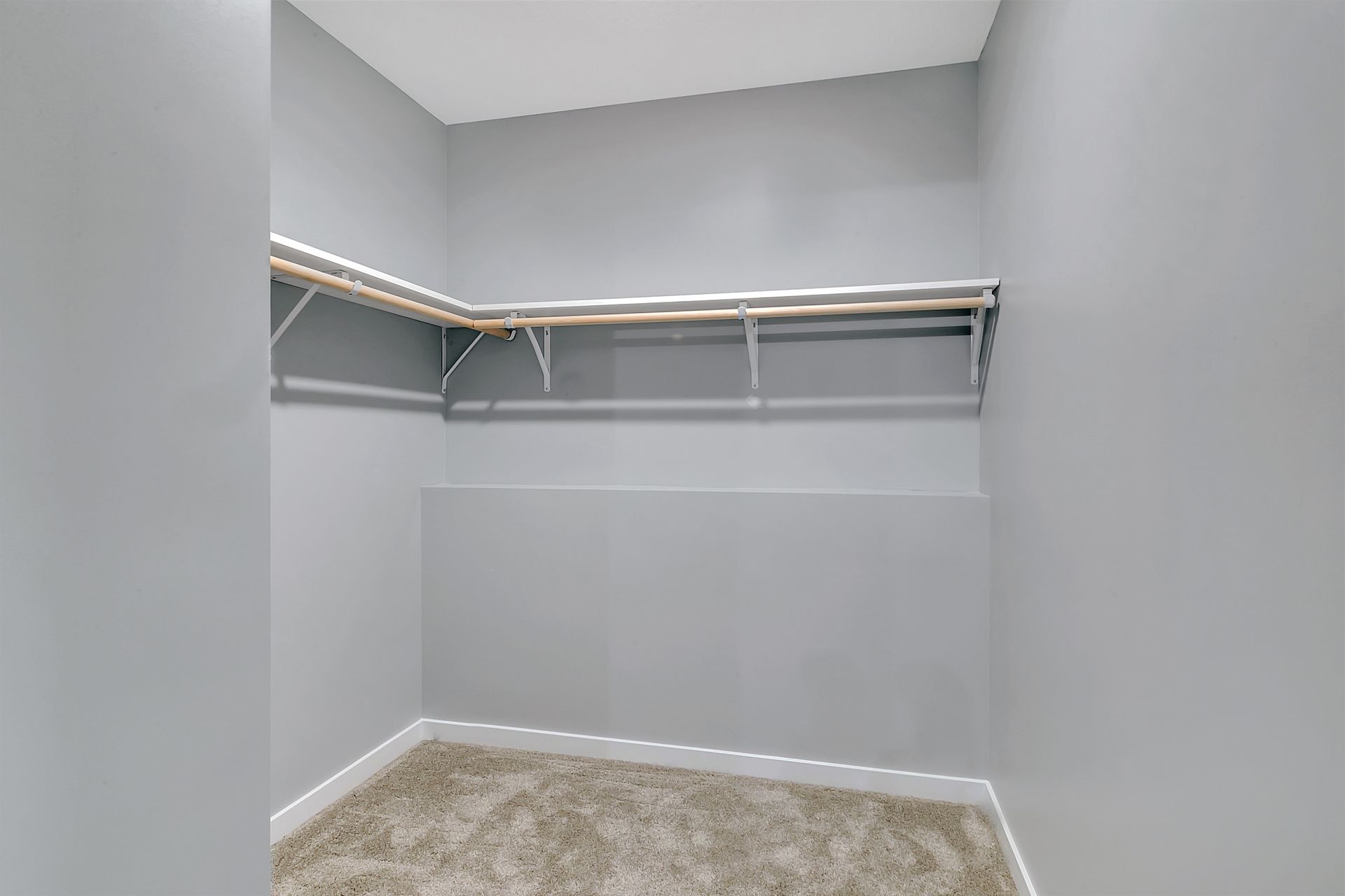 An empty walk in closet with a carpeted floor and shelves.