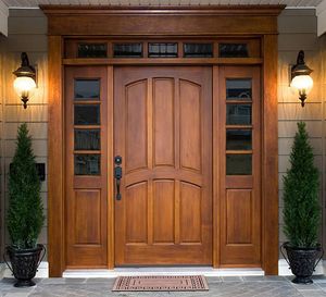 A large wooden door with two potted plants in front of it