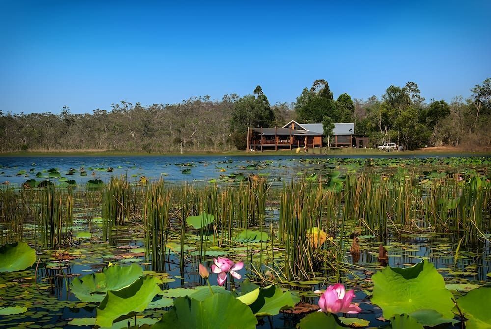 A House Is Sitting On The Shore Of A Lake Surrounded By Lily Pads — Lohman Contracting in Mareeba, QLD
