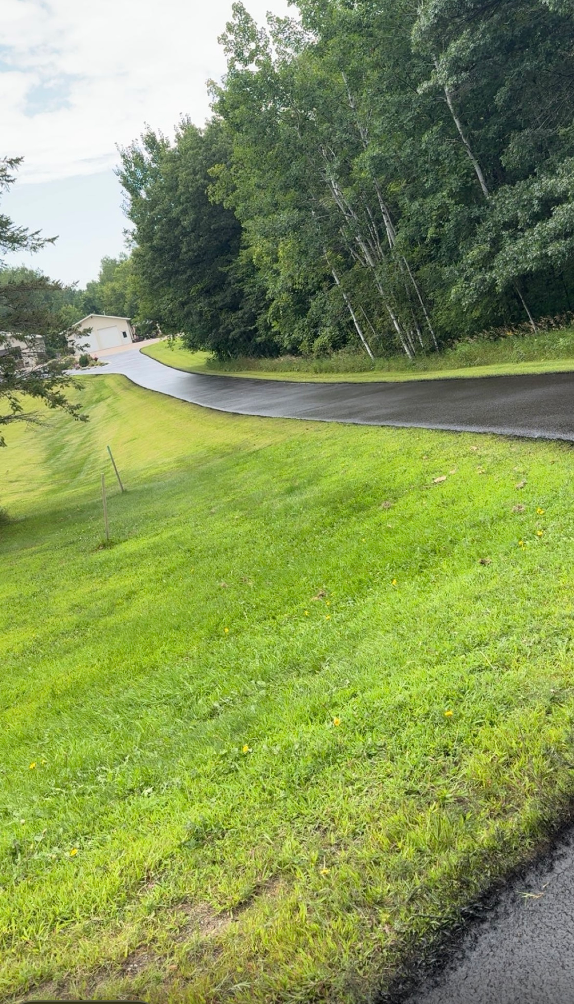 Curving wet road beside bright green grass and dense trees on a cloudy day