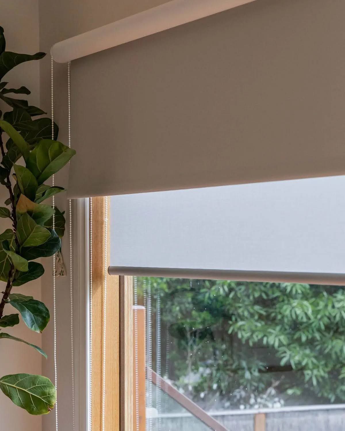 sunscreen blinds