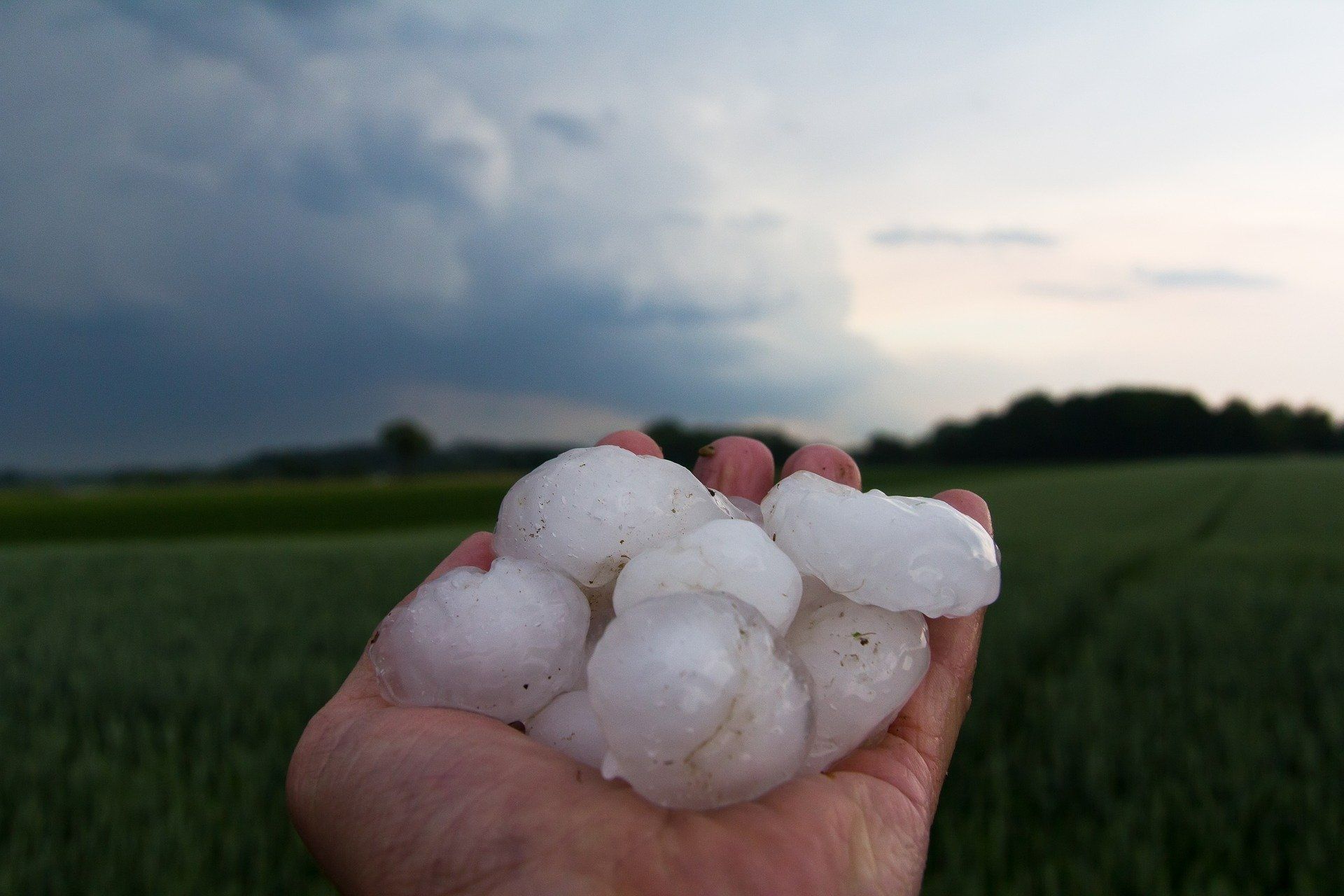 Hand holding large hailstones in front of a green field and cloudy sky