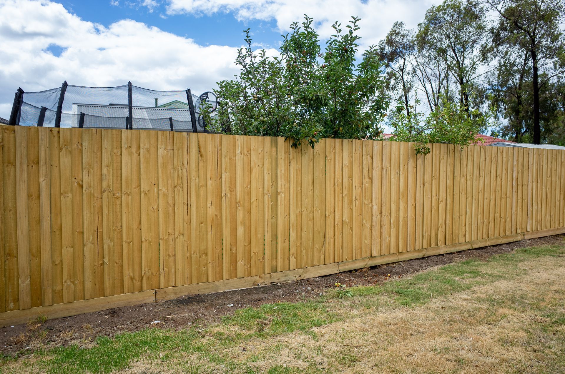 Long wooden privacy fence along a grassy yard with trees and a trampoline behind it