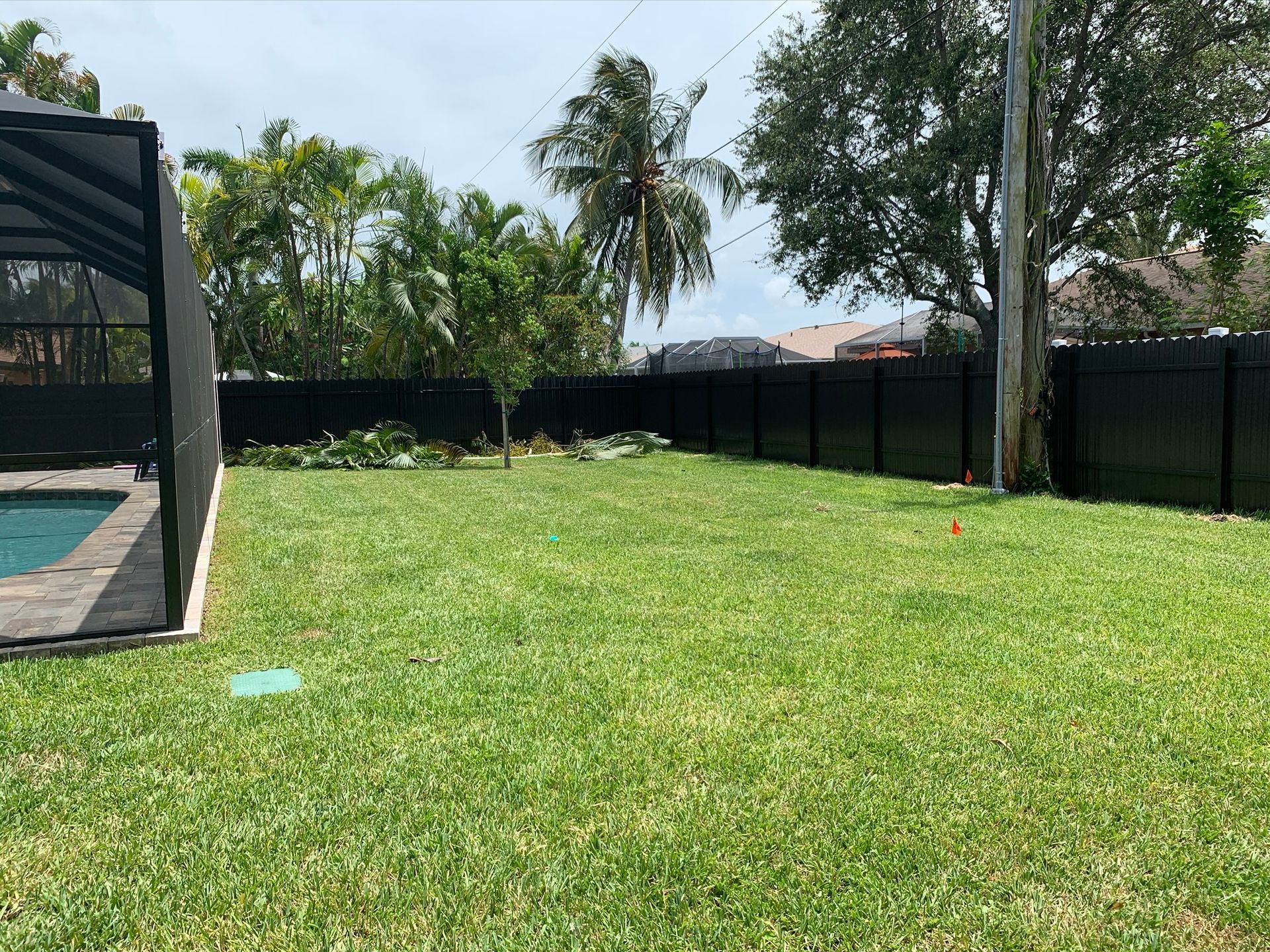 Backyard with black fence, green grass, and pool. Trees and sky visible in the background.