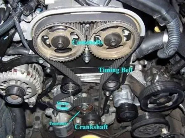 A timing belt with an engine | Sydney, NSW | Autocure Mobile Mechanics A timing belt with an engine | Sydney, NSW | Autocure Mobile Mechanics