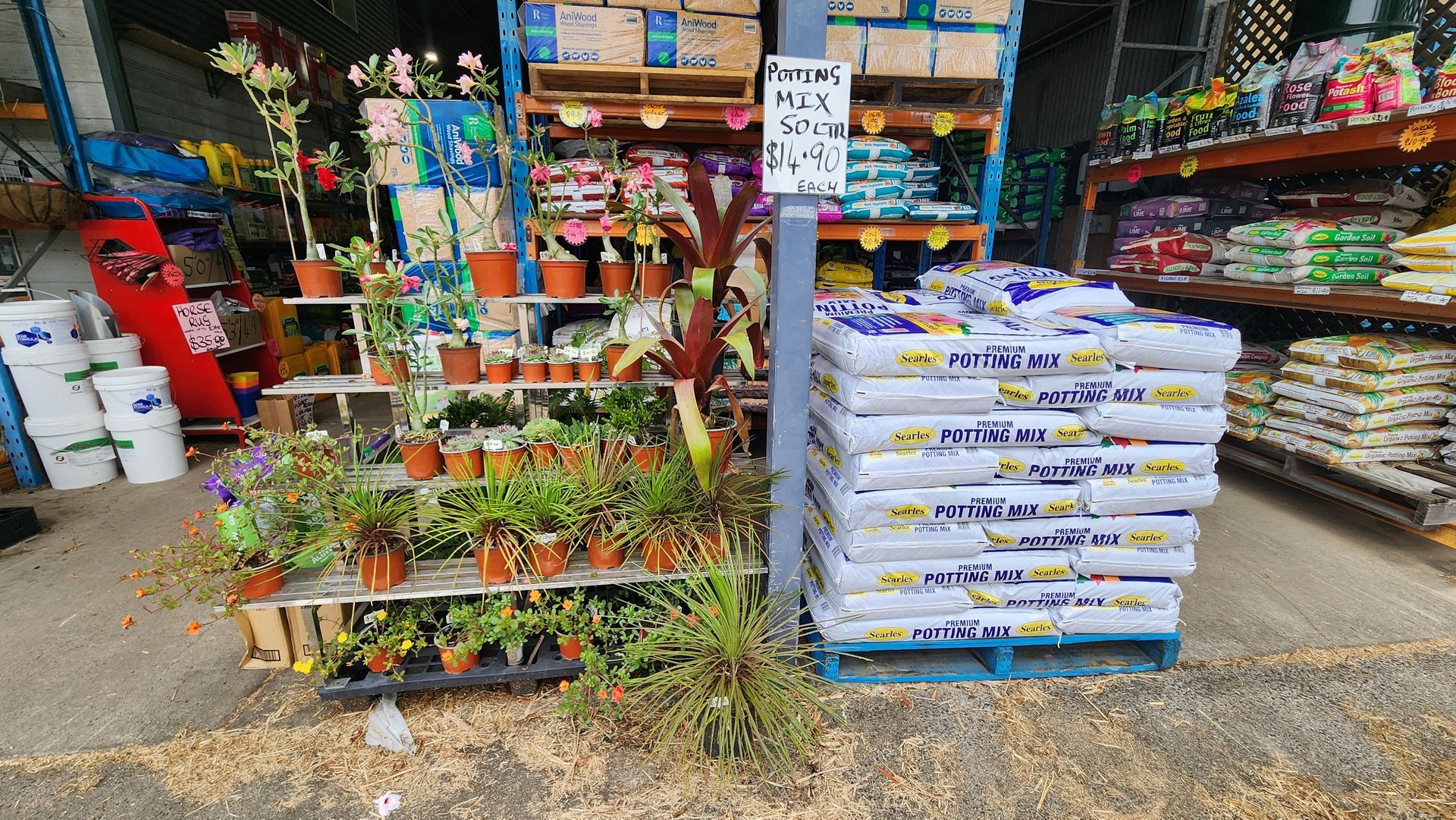 A Stand Of Plants Next To A Pallet Of Searles Potting Mix — Cooroy Produce In Cooroy, QLD