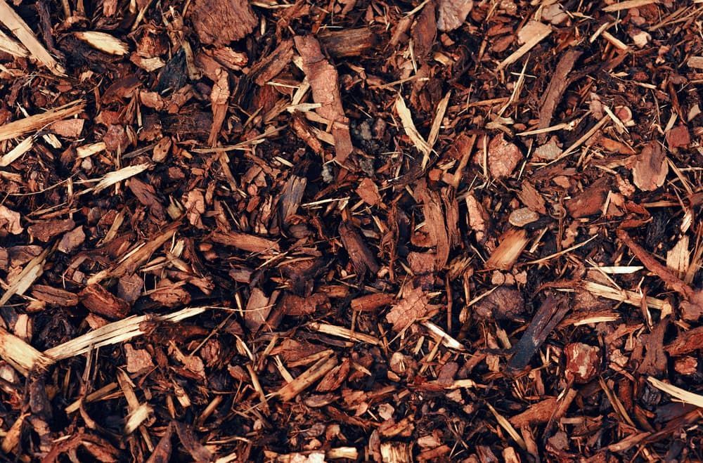 A Pile Of Brown Mulch Is Sitting On The Ground — Cooroy Produce In Cooroy, QLD