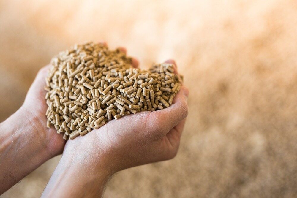 A Person Is Holding A Pile Of Pellets In Their Hands — Cooroy Produce In Cooroy, QLD