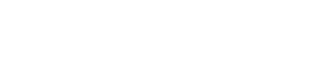 E-Trowel E-Trowel