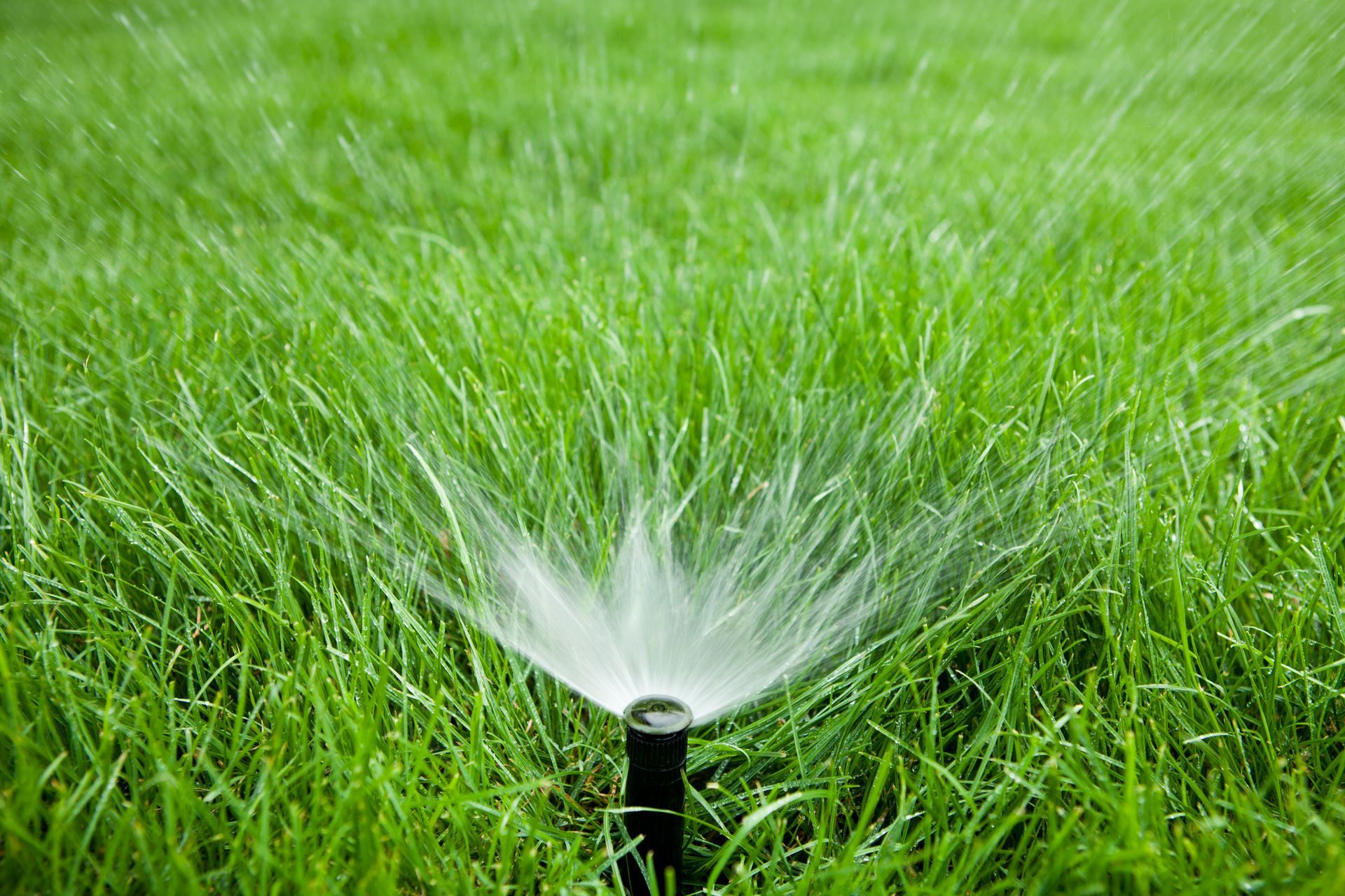 Three Sprinklers — Boyes Hot Springs, CA — Paz Landscape