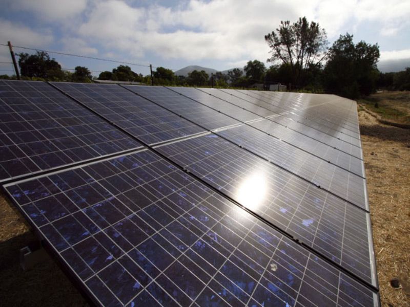 Rows of blue solar panels in a sunny outdoor field with trees in the background