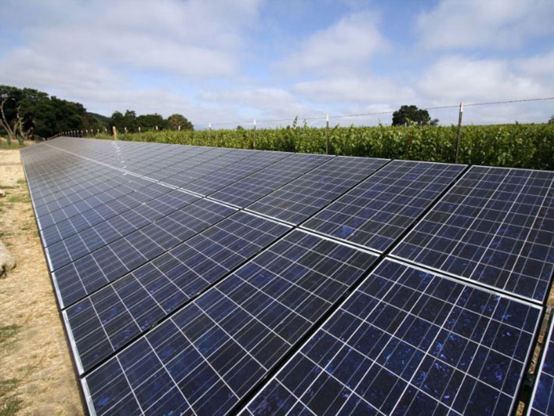 Rows of blue solar panels in a field under a cloudy sky