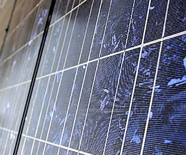 Close-up of blue solar panels with white grid lines and visible weathered spots