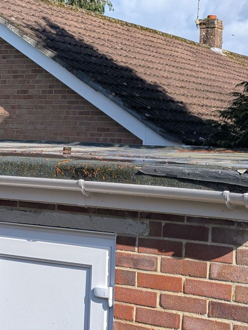 Brick house roof with a dark mossy stain on the shingles and a chimney in the background