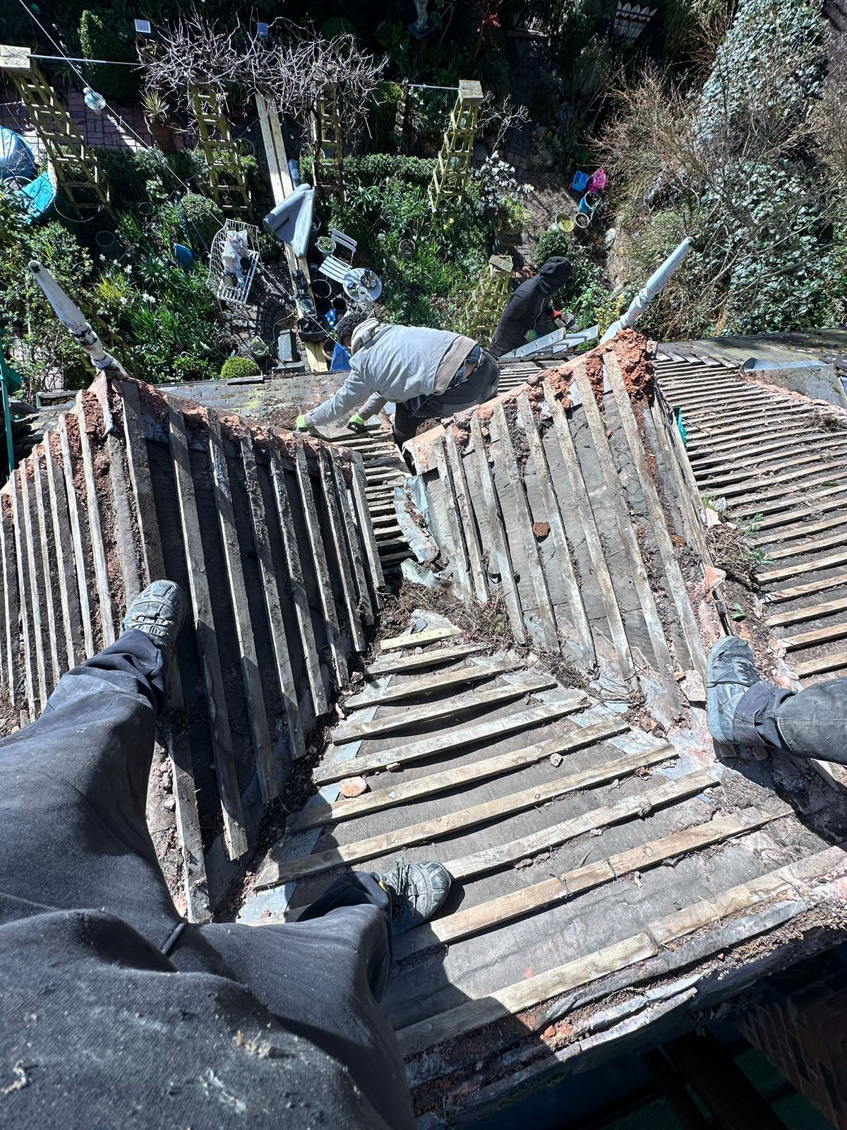 Person standing on a weathered roof among trees, looking down at a damaged ridge line