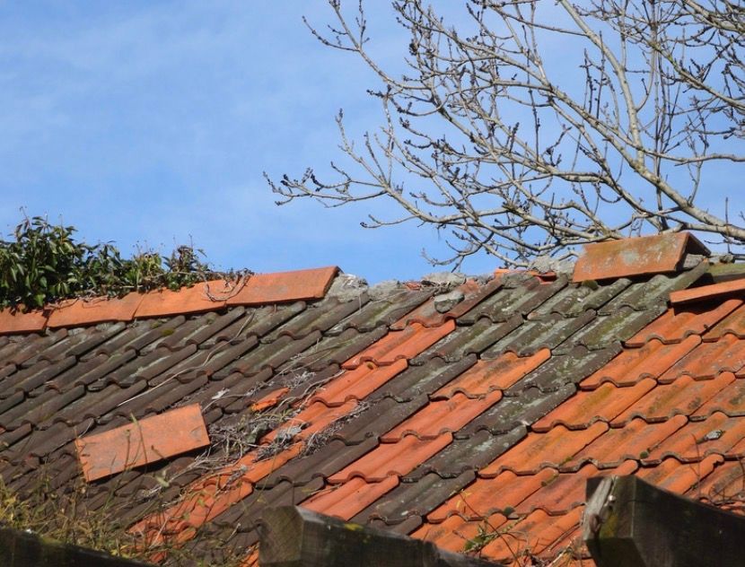 Damaged red-tiled roof with missing and displaced tiles under a blue sky, tree branches overhead