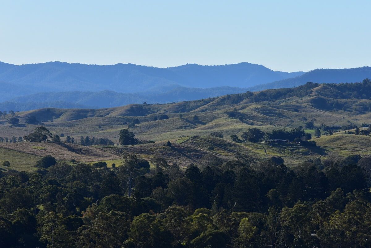 A View of a Valley With Mountains in the Background and Trees in the Foreground — Bevan Plumbing in Kyogle, NSW