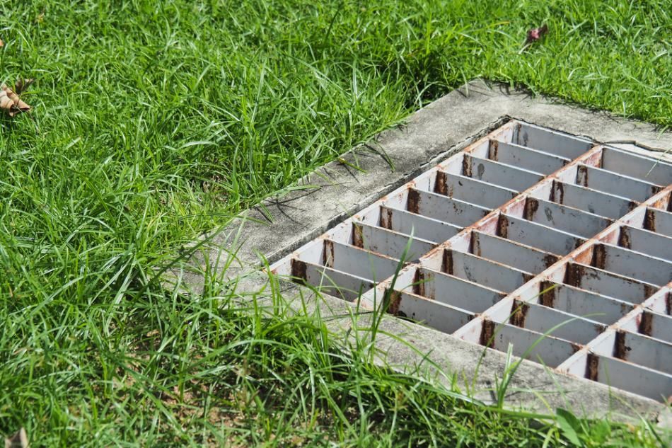 A Manhole Cover is Sitting in the Middle of a Lush Green Field — Bevan Plumbing in Lismore, NSW