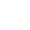 Map Icon