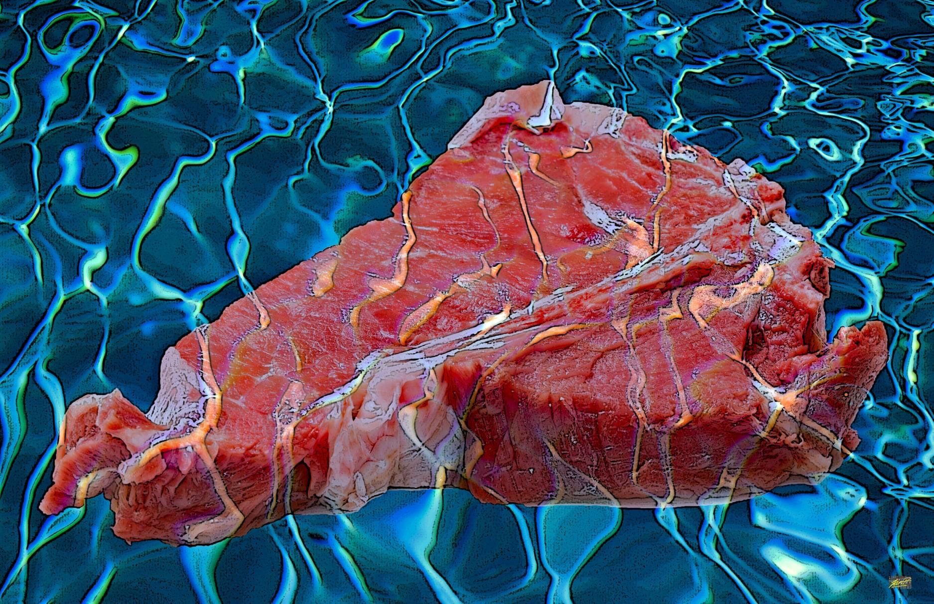 Turkey kunst