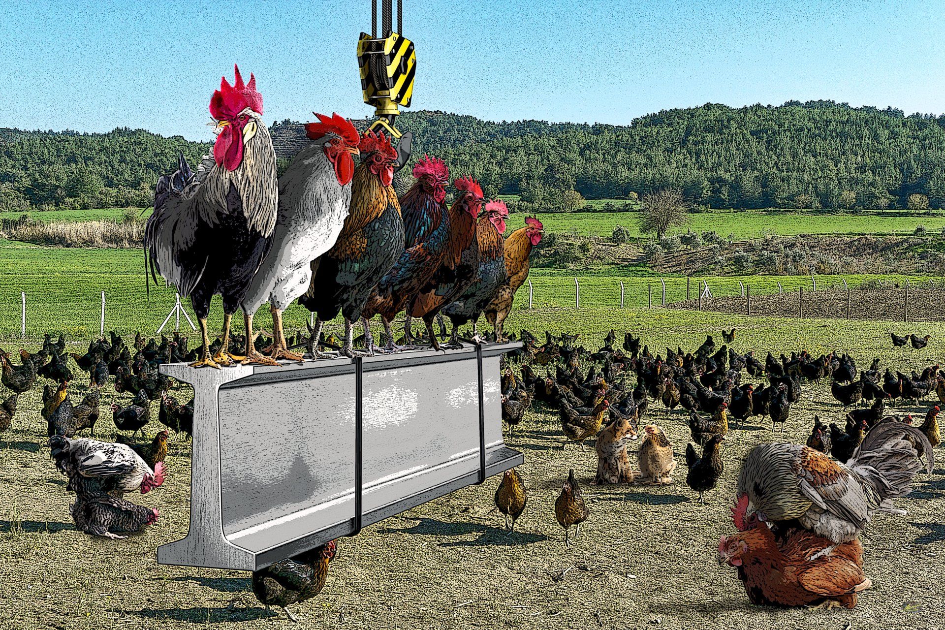 Turkey kunst