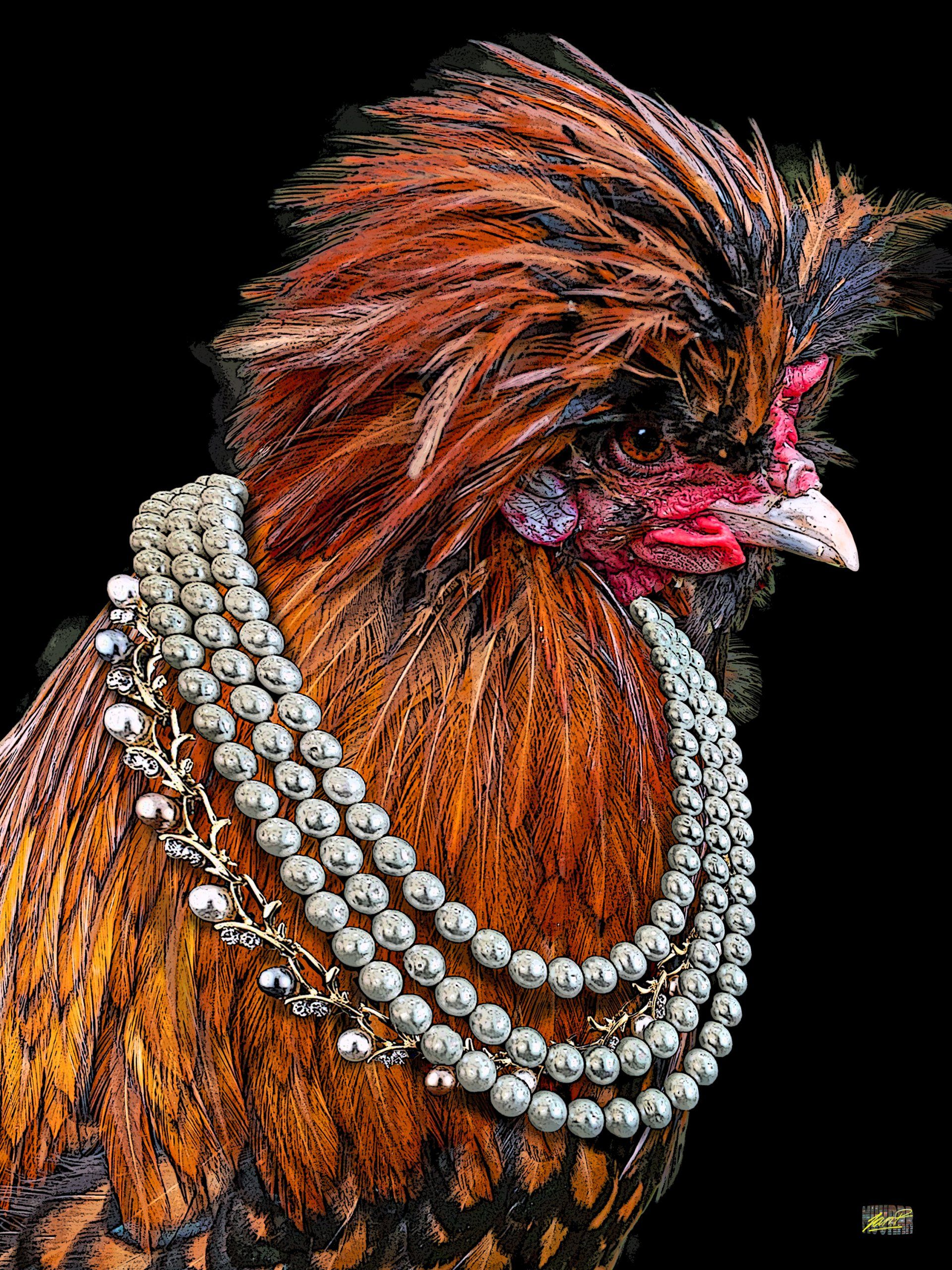 Turkey kunst