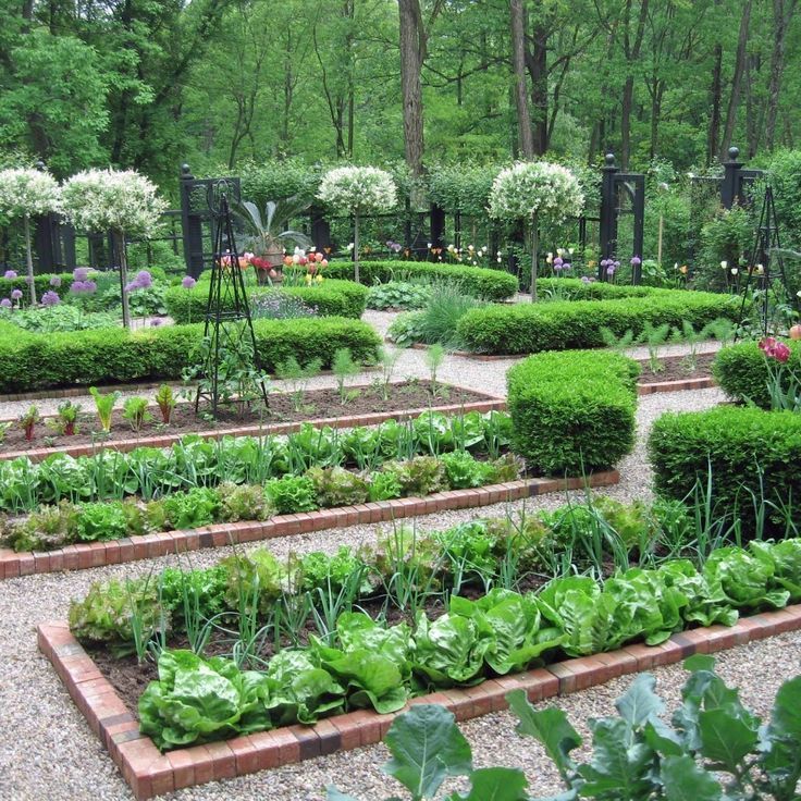 Terraced garden beds with lush green plants and flowers in a landscaped park