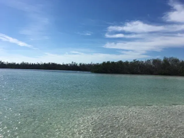 Calm turquoise shoreline with a tree-lined horizon under a blue sky with wispy clouds