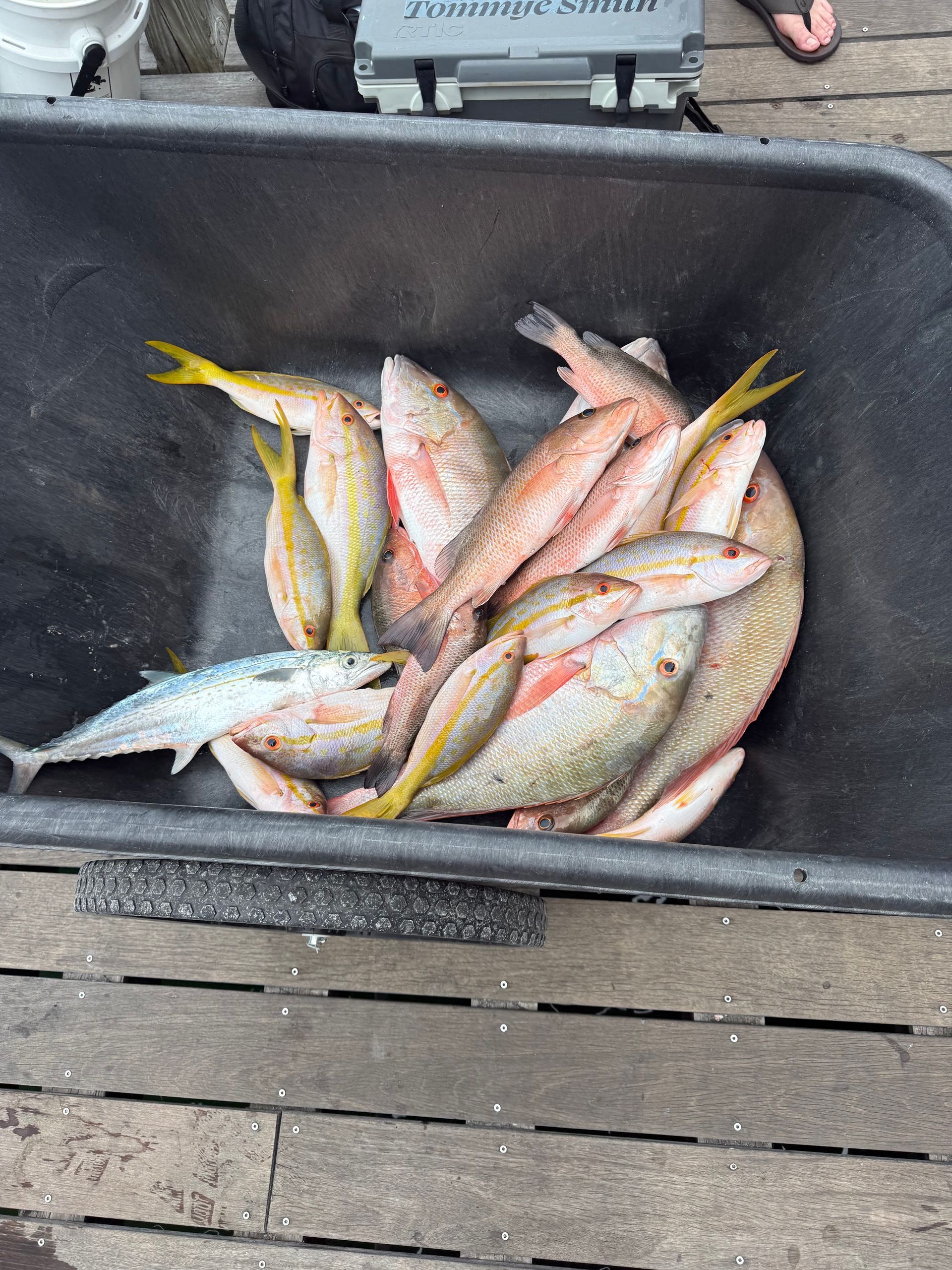 Cooler full of assorted fish on a boat deck